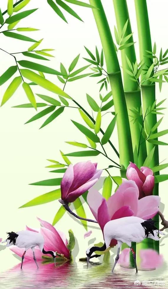 大年初一，都有什么風(fēng)俗？